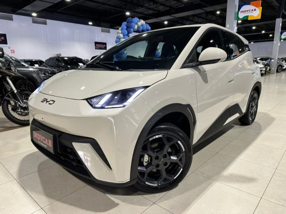 BYD Dolphin Mini GS (Elétrico)